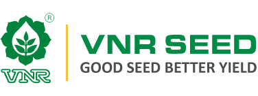 Company Logo 2