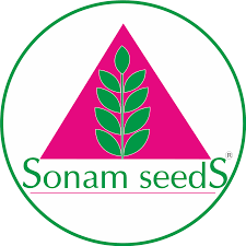 Company Logo 5